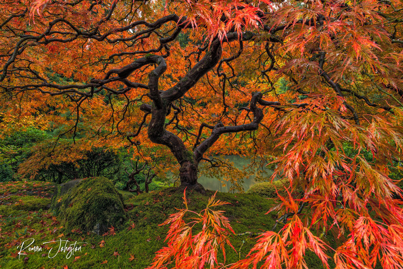 RJ1_5101-Edit(1).jpg