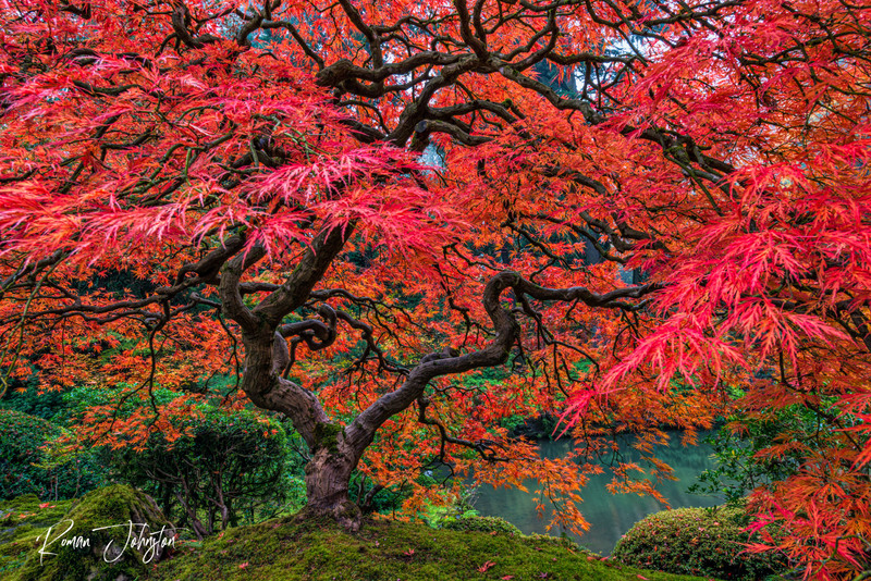 RJ1_5277-Edit(1).jpg
