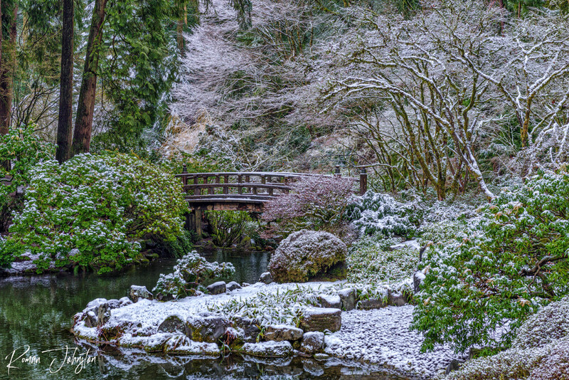 RJ1_5579-Edit.jpg