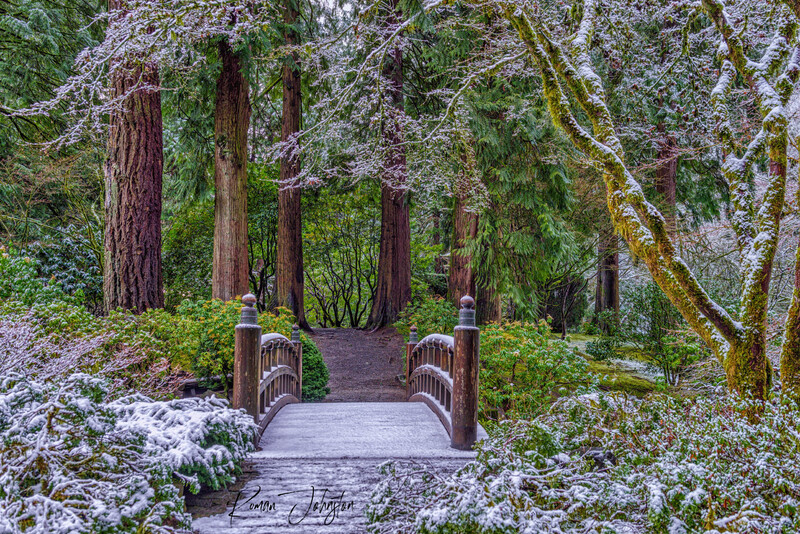RJ1_5584-Edit(1).jpg