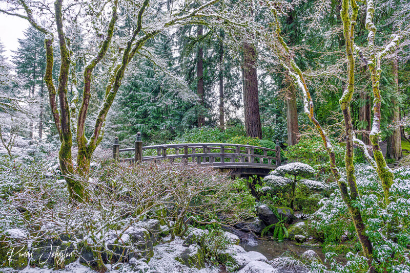 RJ1_5586-HDR-Edit.jpg