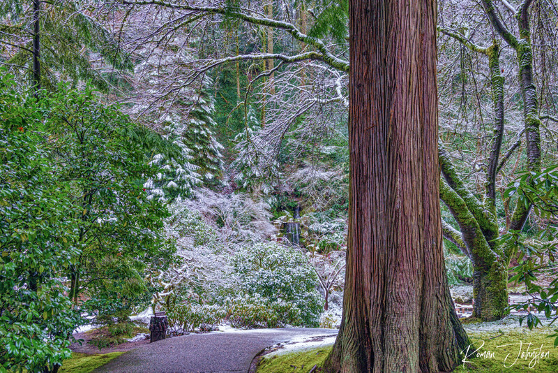 RJ1_5617-Edit(1).jpg