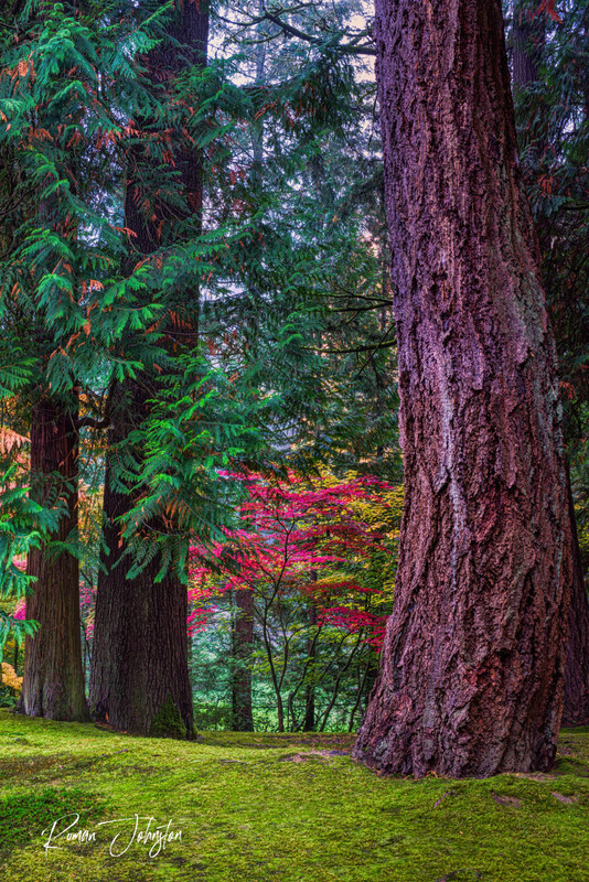 RJ1_5669-Edit 2(1).jpg