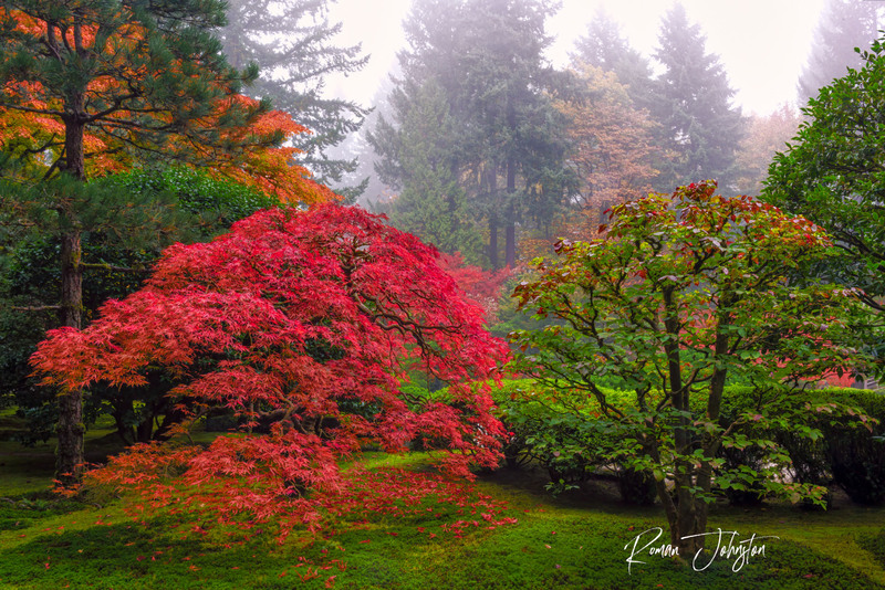 RJ1_5686-Edit.jpg