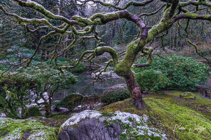 RJ1_5754-Edit(1).jpg