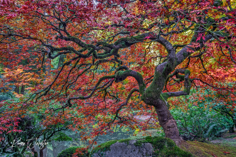 RJ1_8358-HDR-Edit(1).jpg