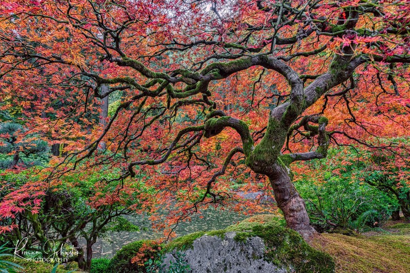 RJ1_8420-HDR-Edit.jpg
