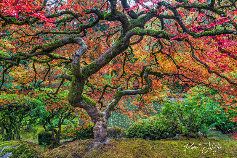 RJ1_8421-Edit(1).jpg
