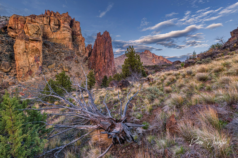 RJ1_8984-Edit.jpg