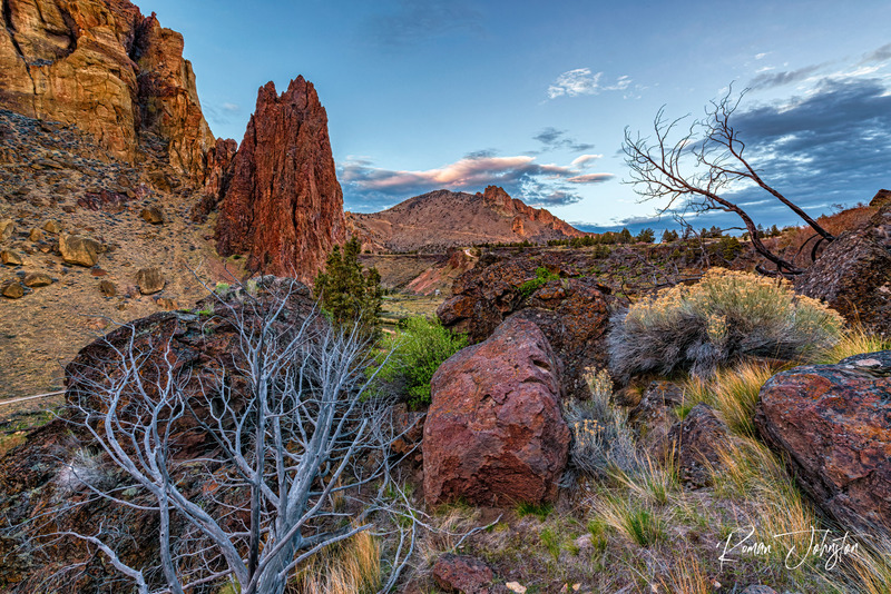 RJ1_8988-Edit(1).jpg
