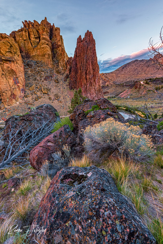 RJ1_8991-Edit(1).jpg