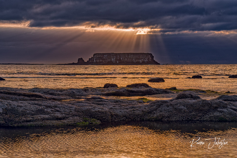 RJ1_9754-Edit.jpg