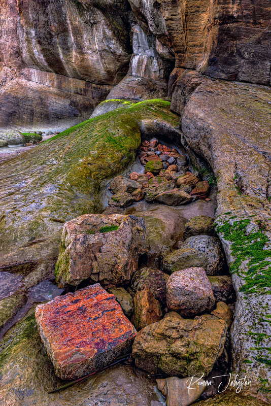 RJ1_9913-Edit.jpg
