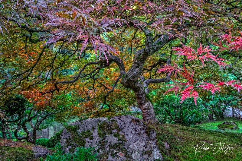 RJ2_1152-Edit(1).jpg