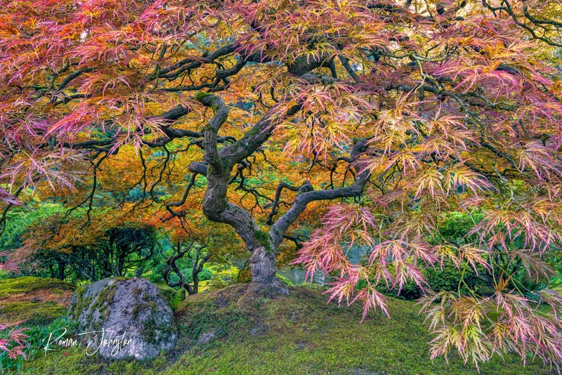 RJ2_1158_60x90(1).jpg