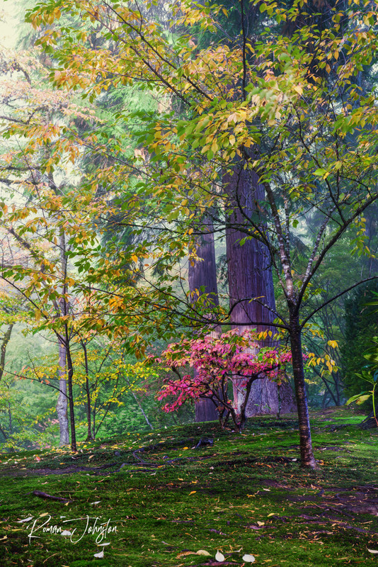 RJ2_1236-Edit(1).jpg