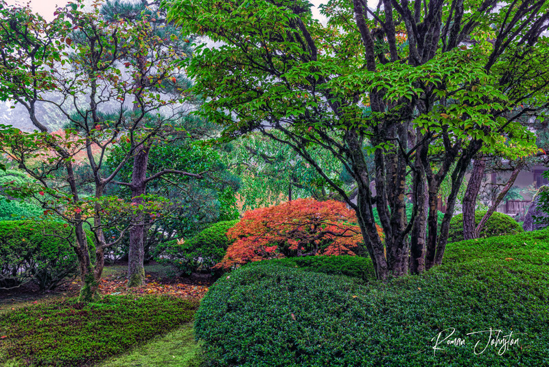 RJ2_1283(1).jpg