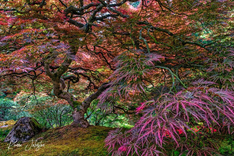 RJ2_2722-Edit(1).jpg