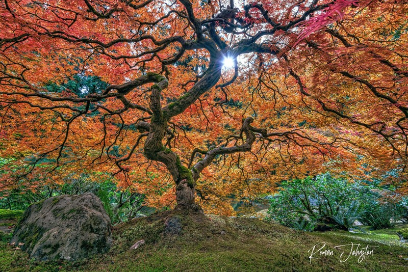 RJ2_3790-Edit(1).jpg
