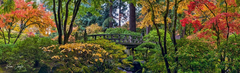 RJ2_3868-Pano-Edit.jpg