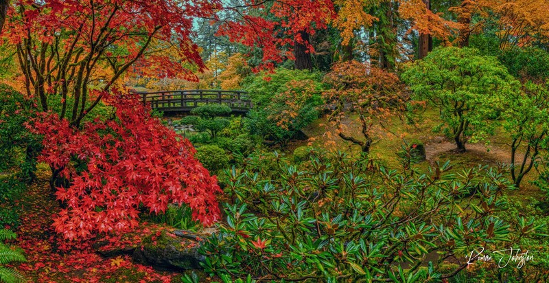 RJ2_4064-Pano-Edit.jpg
