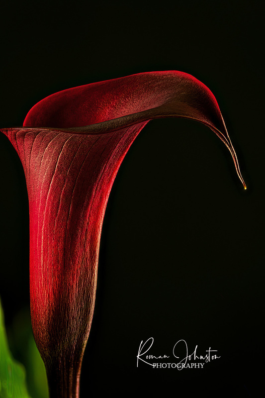RJ2_5780_WEB.jpg