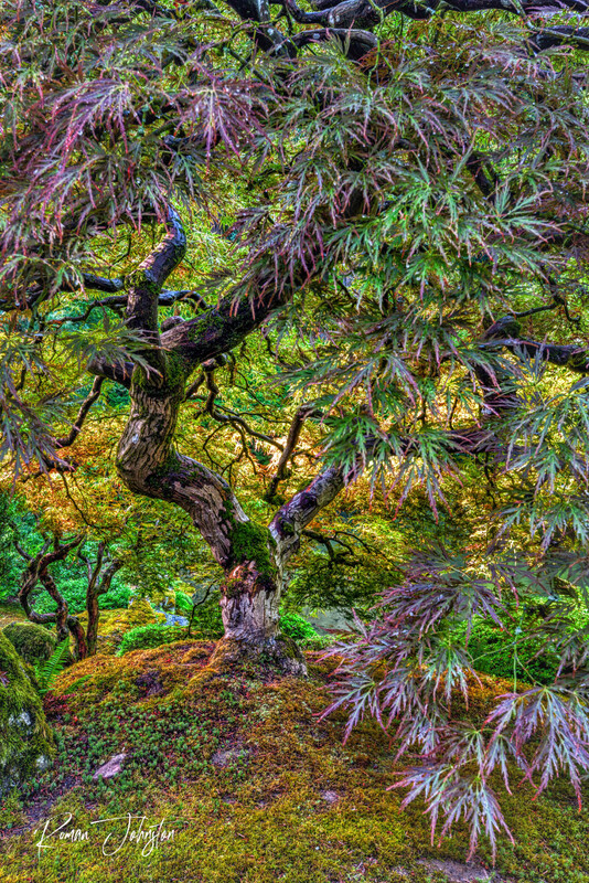 RJ2_9762-Edit(1).jpg