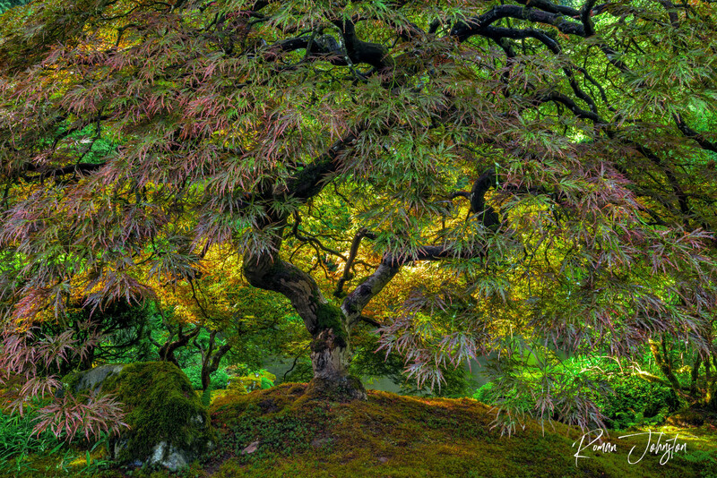 RJ2_9766-gigapixel-width-21600px(1).jpg