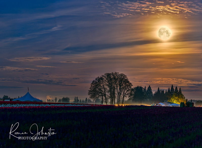 Tulip Moon GigaPano(1).jpg