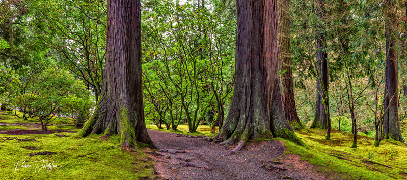 Twin Towers - Japanese Gardens Pano.jpg