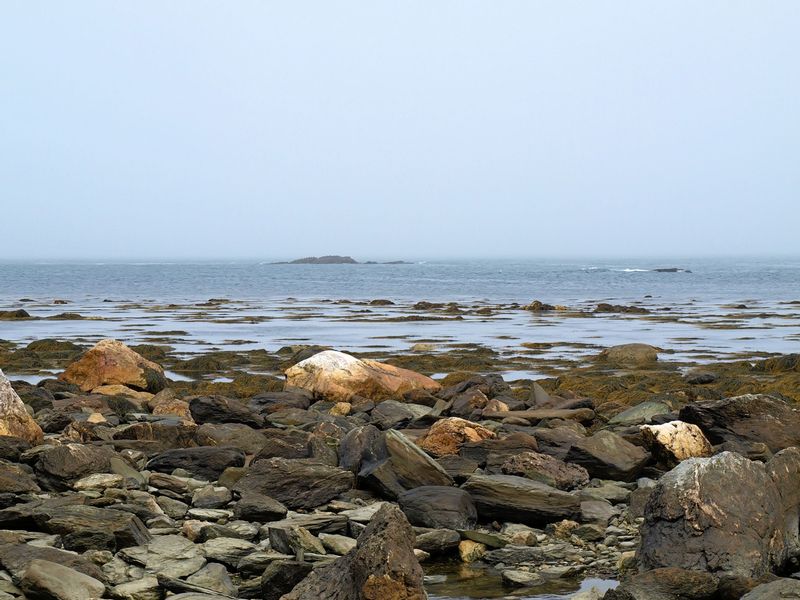 P7201120.jpg