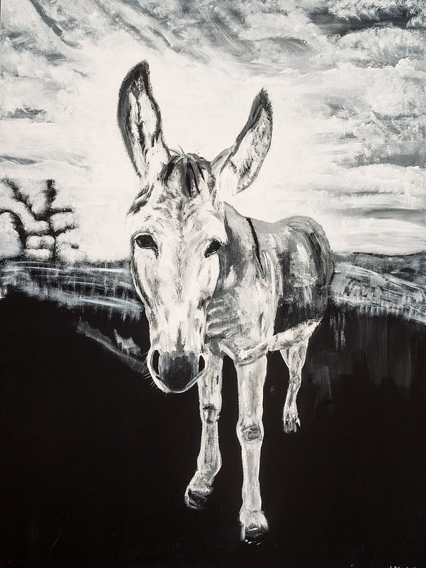 Sargent_Laurie__Donkey Series-13.jpg :: Laurie Sargent, \