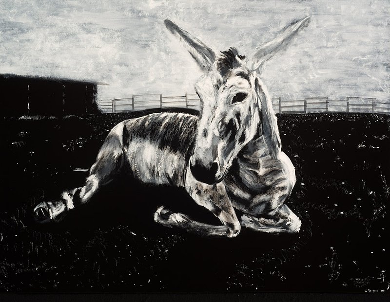 Sargent_Laurie__Donkey Series-14.jpg :: Laurie Sargent, \