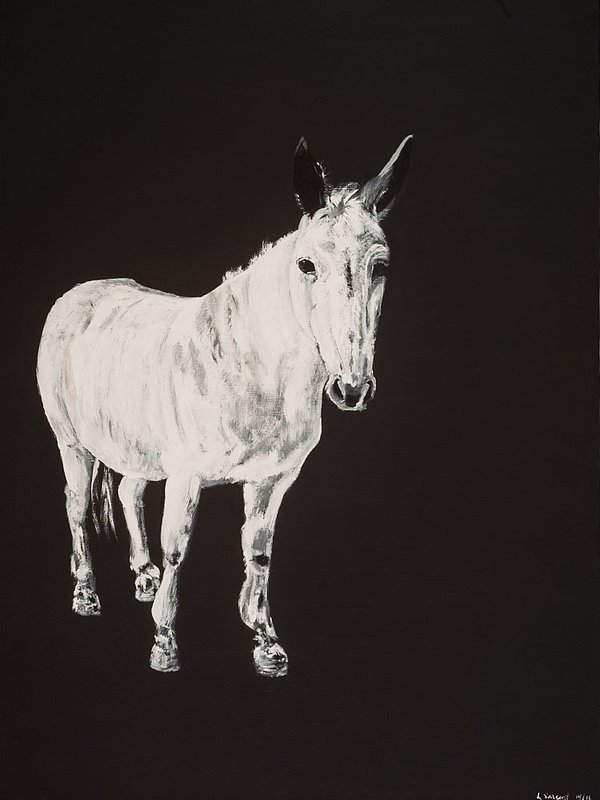 Sargent_Laurie__Donkey Series-15.jpg :: Laurie Sargent, \