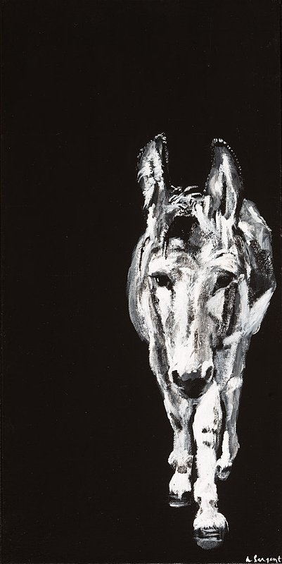 Sargent_Laurie__Donkey Series-16.jpg :: Laurie Sargent, \