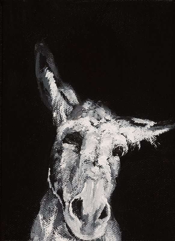 Sargent_Laurie__Donkey Series-18.jpg :: Laurie Sargent, \