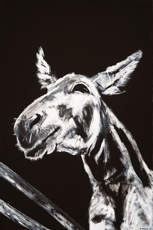 Sargent_Laurie__Donkey Series-3.jpg :: Laurie Sargent, \