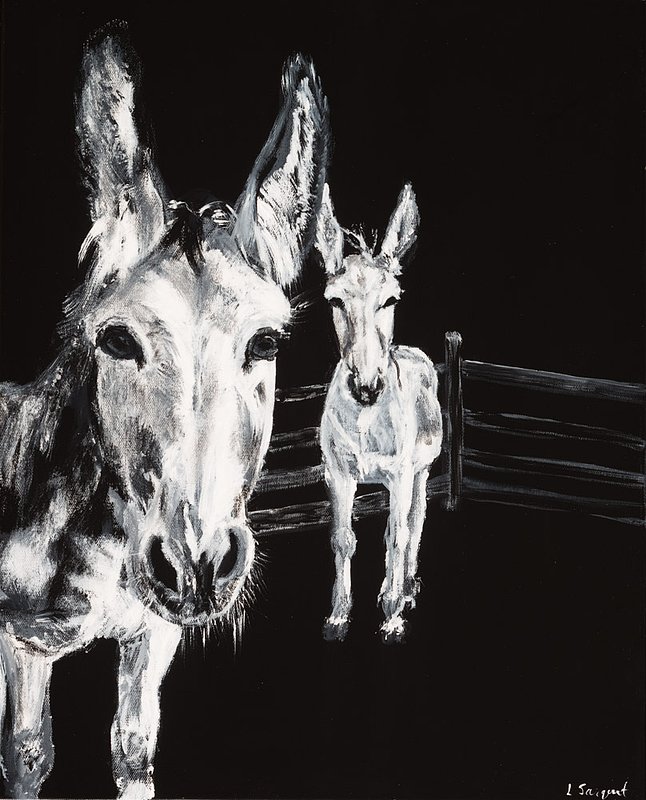 Sargent_Laurie__Donkey Series-4.jpg :: Laurie Sargent, \