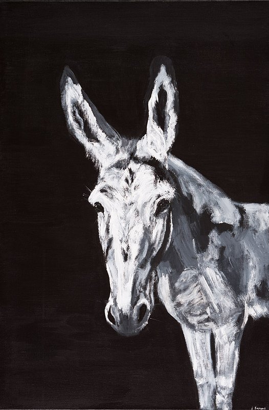 Sargent_Laurie__Donkey Series-5.jpg :: Laurie Sargent, \