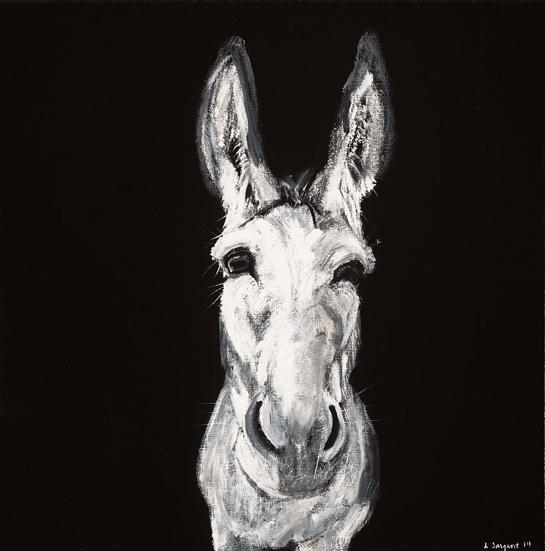 Sargent_Laurie__Donkey Series-8.jpg :: Laurie Sargent, \