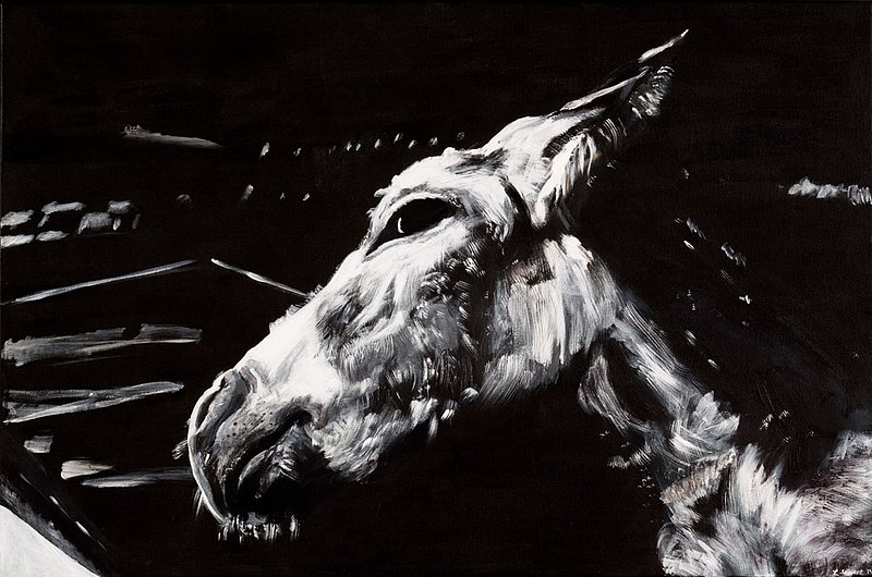 Sargent_Laurie__Donkey1.jpg :: Laurie Sargent, \