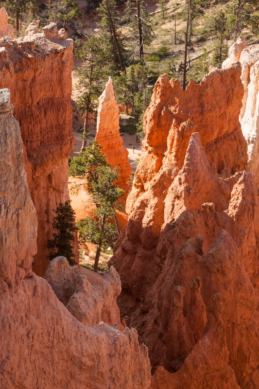 _MG_9056.jpg :: Bryce Canyon National Park (A2:3) (LE5k)