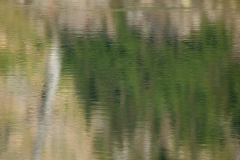 _MG_9933.jpg :: (A2:3) (LE5k)