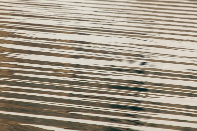 _MG_9942.jpg :: (LE4k) (A2:3)