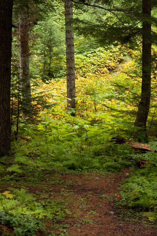 Alcan_090910_73661.jpg :: (A2:3) (LE5k)