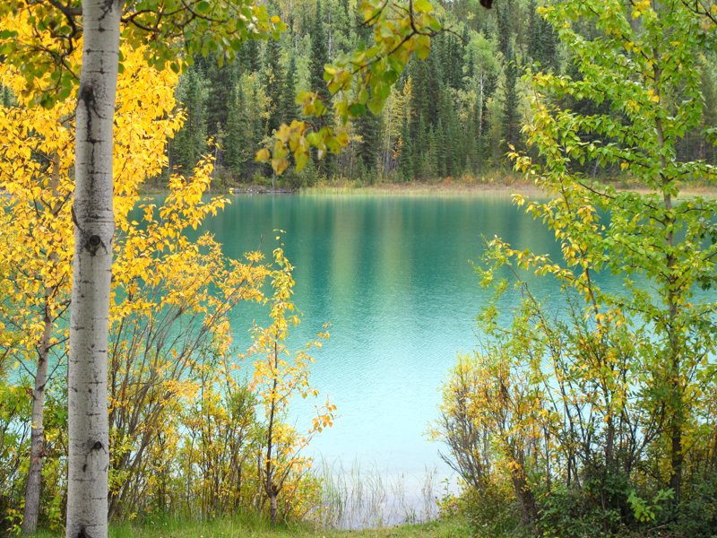 Alcan_090912_02111.jpg :: (A3:4) (LE3k)