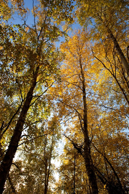 Alcan_090923_78691.jpg