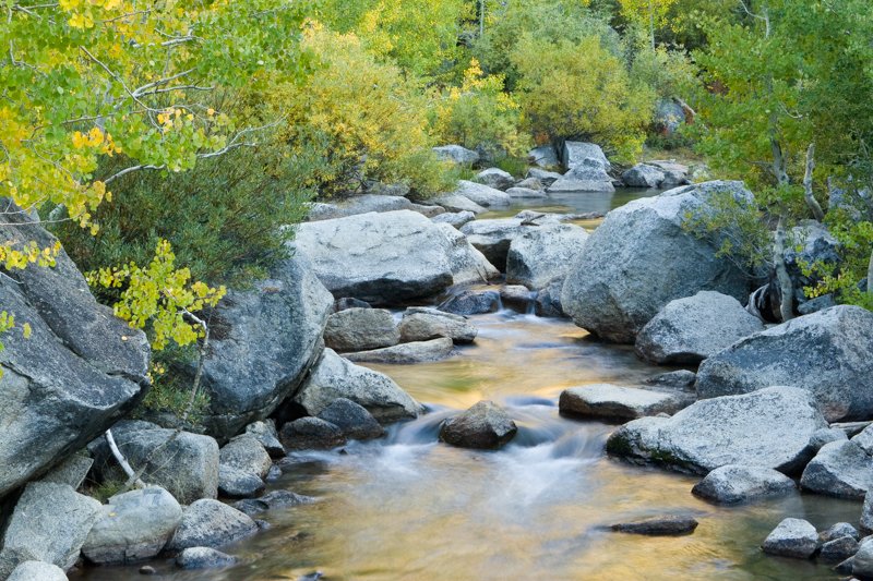 Autumn Water.jpg :: The reflections of changing trees makes for a nice reflection on this creek near Bishop. (A2:3) (LE3k)