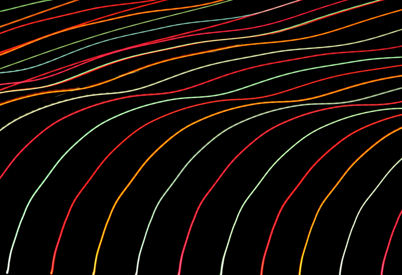 Clean Smooth Lines-2.jpg :: Christmas Lights viewed from a moving camera are drawing. (A2:3) (LE2k)