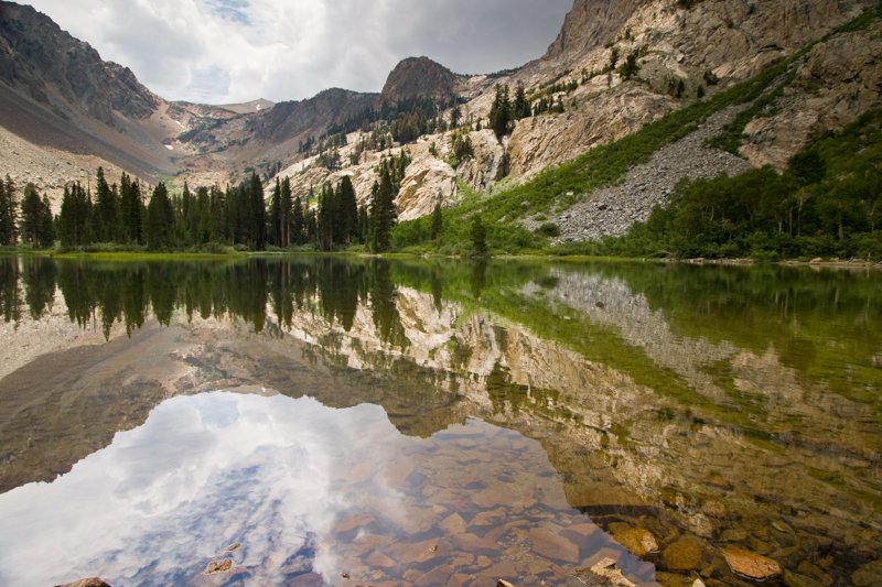 Fern Lake Reflections.jpg :: A bit of greenery in this barren high altitude (Fern Lake, June Lake, CA) (A2:3) (LE3k)